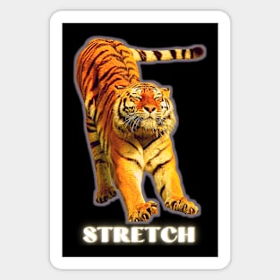 Stretch by a large tiger - white text 1 Sticker